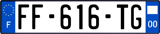 FF-616-TG