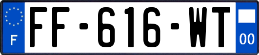 FF-616-WT