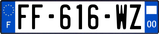 FF-616-WZ