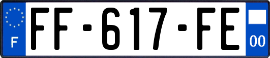 FF-617-FE