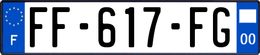 FF-617-FG
