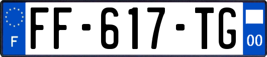 FF-617-TG
