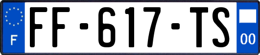FF-617-TS