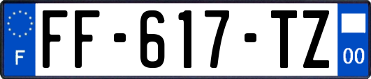 FF-617-TZ