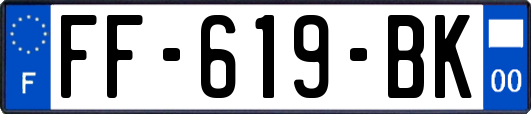 FF-619-BK