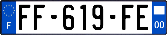 FF-619-FE
