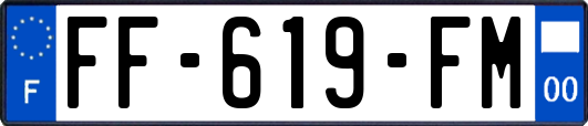 FF-619-FM