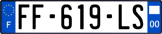FF-619-LS