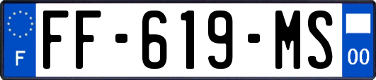 FF-619-MS