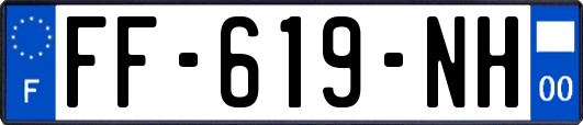 FF-619-NH