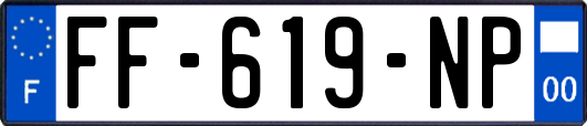 FF-619-NP