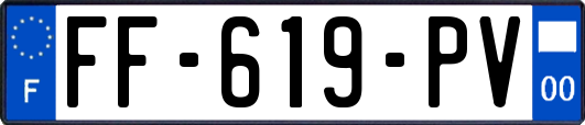 FF-619-PV