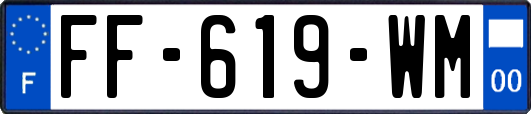 FF-619-WM