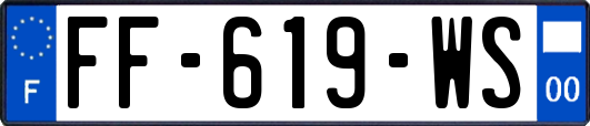 FF-619-WS