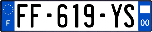 FF-619-YS