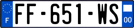 FF-651-WS
