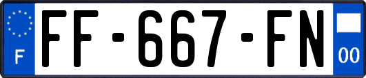 FF-667-FN