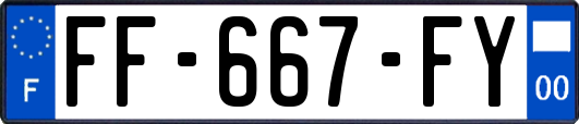 FF-667-FY