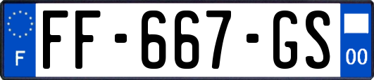 FF-667-GS