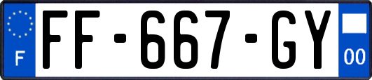FF-667-GY