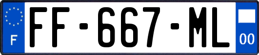 FF-667-ML