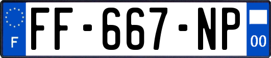 FF-667-NP