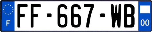 FF-667-WB