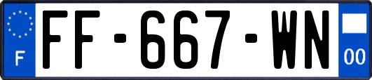 FF-667-WN