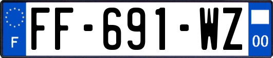 FF-691-WZ