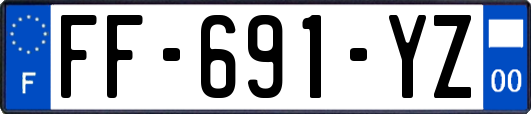 FF-691-YZ