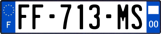 FF-713-MS