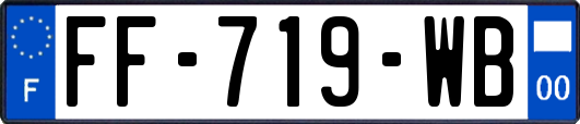 FF-719-WB