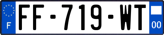 FF-719-WT