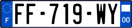 FF-719-WY