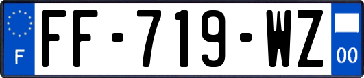 FF-719-WZ