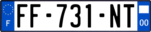 FF-731-NT