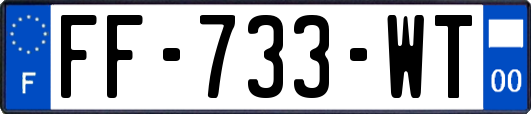 FF-733-WT