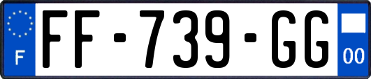 FF-739-GG