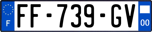 FF-739-GV