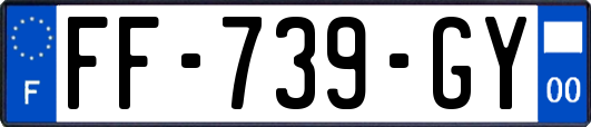 FF-739-GY
