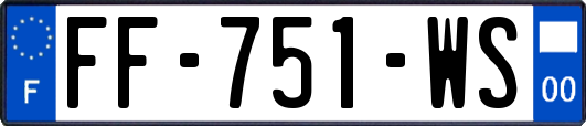 FF-751-WS