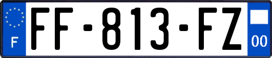 FF-813-FZ