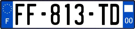 FF-813-TD