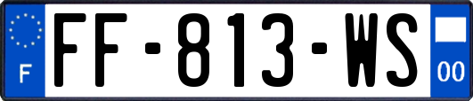 FF-813-WS