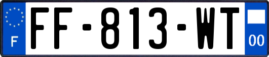 FF-813-WT