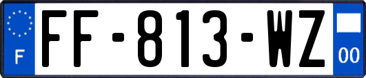 FF-813-WZ