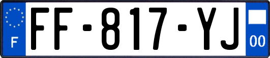 FF-817-YJ