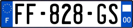 FF-828-GS