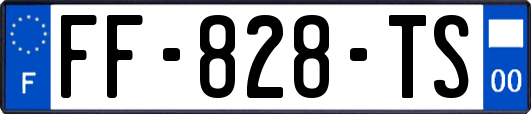 FF-828-TS