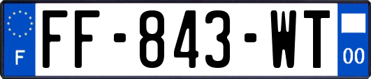 FF-843-WT